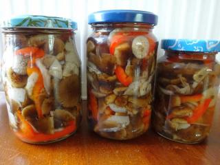  Jak naložit václavky s paprikou do sladkokyselého nálevu | recept na houby